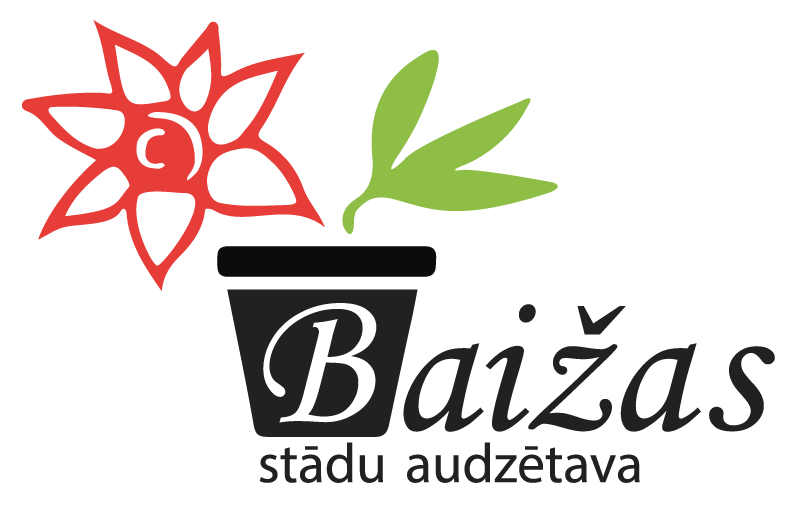 Baizas logo