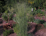 P7241079
