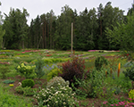 P7140314