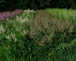 P7170844