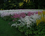 P7315576 a