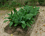 P7210515