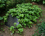 P7210517