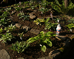 P7261119